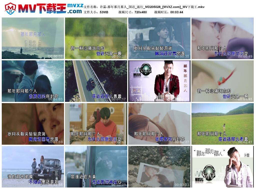 许霖-那年那月那人_国语_流行_MD205028